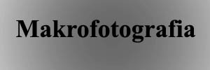 Makrofotografia