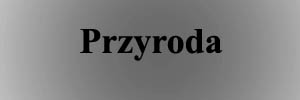 Przyroda